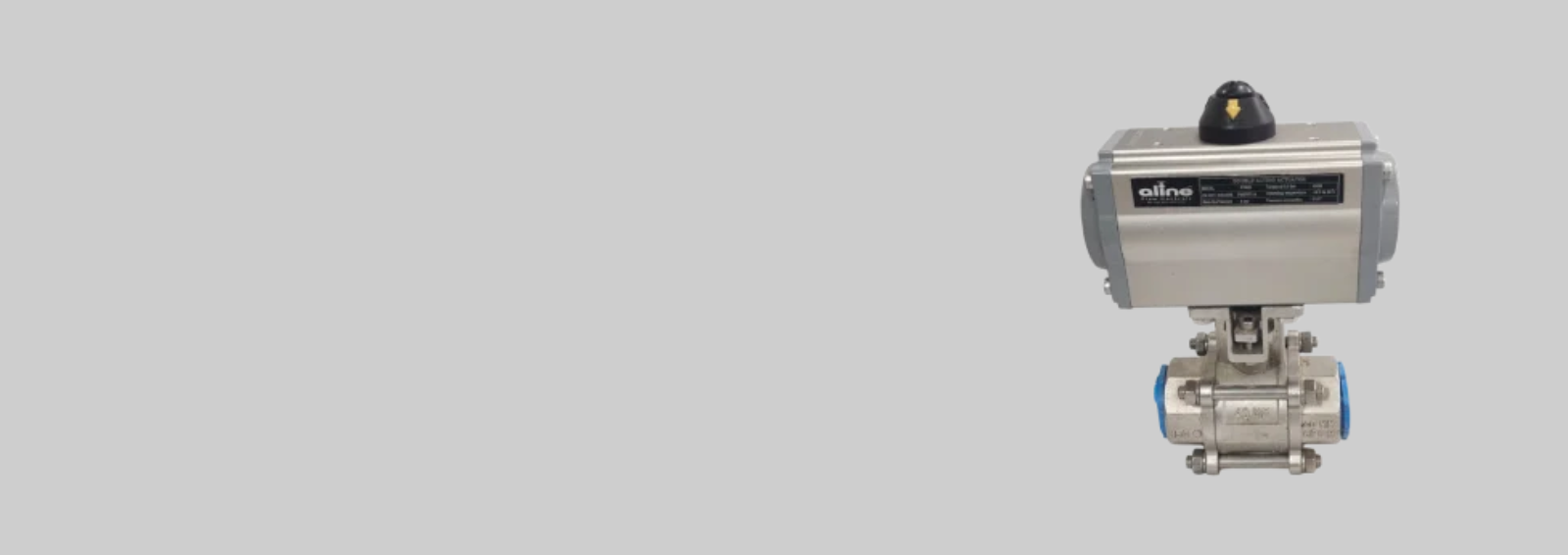 Plus-Size Styles for Every Season